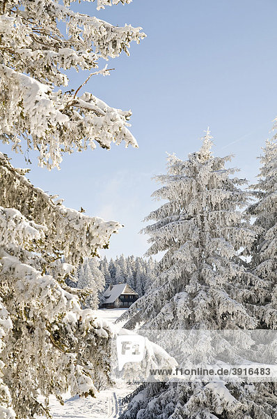 Winterlandschaft im Schwarzwald Baden-Württemberg Deutschland Europa