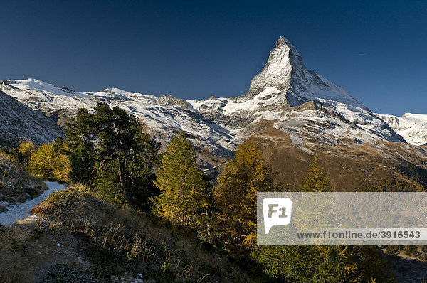 Matterhorn mit herbstlich verfärbten Lärchen  Zermatt  Schweiz  Europa