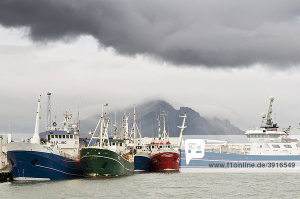 Fischerboote im Hafen von Höfn  Island  Europa