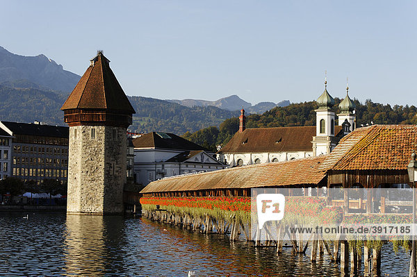 Kapellbrücke und Wasserturm vor der Jesuitenkirche  Luzern  Kanton Luzern  Schweiz  Europa Kanton Luzern