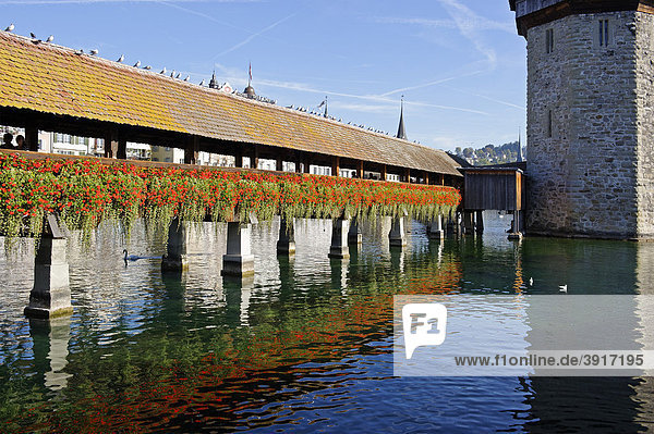 Kapellbrücke und Wasserturm  Luzern  Kanton Luzern  Schweiz  Europa Kanton Luzern