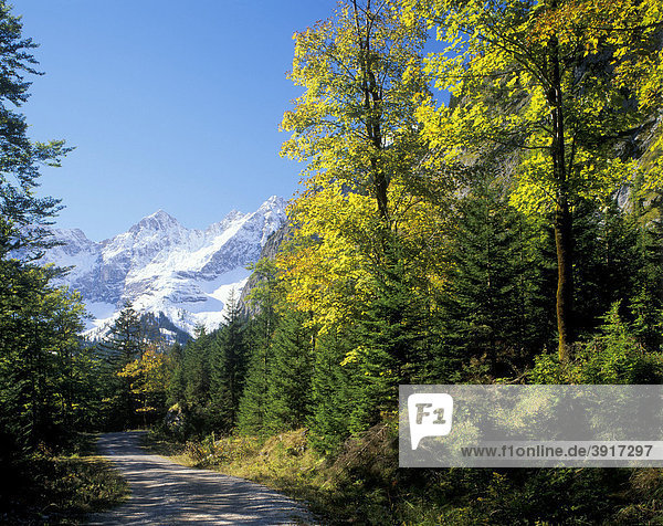 Kleiner Ahornboden  Karwendel  Tirol  Österreich  Europa