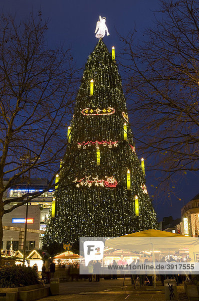Der größte Weihnachtsbaum der Welt auf dem Weihnachtsmarkt Dortmund  Ruhrgebiet  Nordrhein-Westfalen  Deutschland  Europa