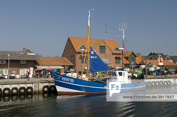 Fischerboot im Hafen  Maasholm  Schleswig-Holstein  Deutschland  Europa