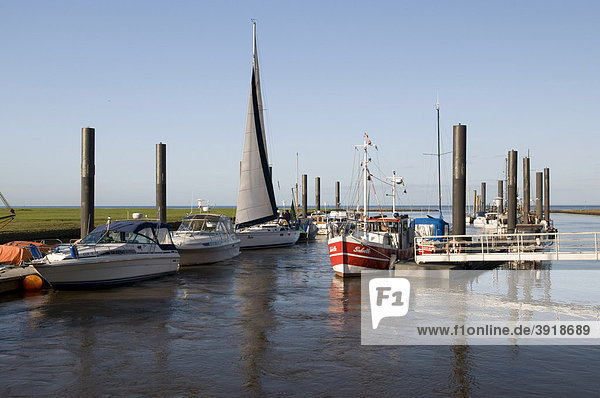 Altenbruch harbor at Elbe river near Cuxhaven  Lower Saxony  Germany  Europe