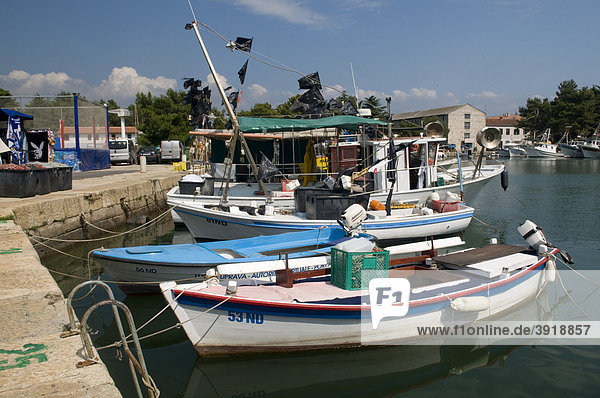 Fischerboote im Hafen von Novigrad  Istrien  Kroatien  Europa