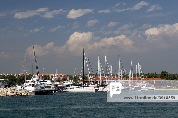 Segelboote im Hafen von Novigrad  Istrien  Kroatien  Europa