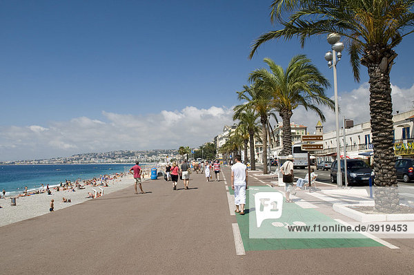 Palmen an der Promenade des Anglais  Nizza  Cote d'Azur  Provence  Frankreich  Europa