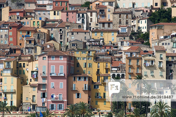Dichtgedrängte Häuser der Altstadt  Menton  Cote d'Azur  Provence  Frankreich  Europa