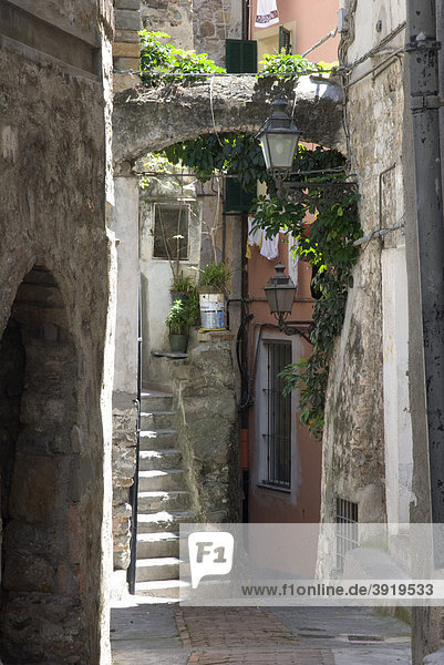 Gasse in der Altstadt  San Remo  Riviera  Ligurien  Italien  Europa