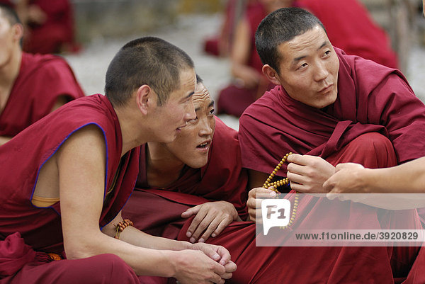 Debattierende tibetische Mönche  Sera Kloster  Lhasa  Tibet  China  Asien