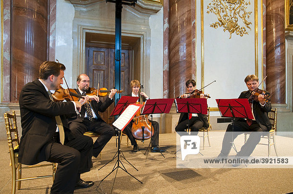 Kammerorchester im Festsaal  Palais Liechtenstein  Wien  Österreich  Europa