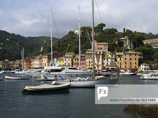 Portofino  harbor  Riviera  Liguria  Italy  Europe