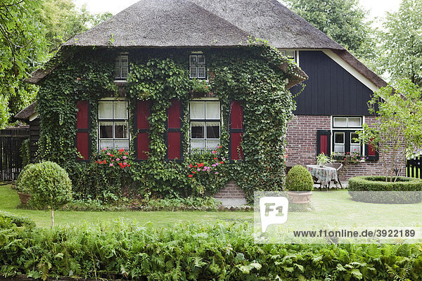 Traditionelles niederländisches Haus mit Garten  Giethoorn  Flevoland  Niederlande  Europa
