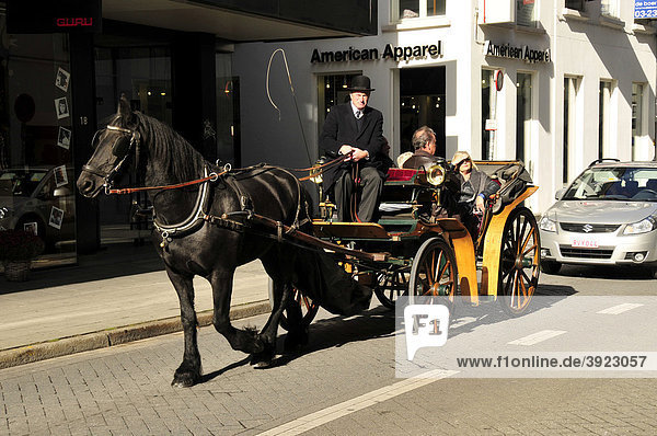 Carriage with tourists  Antwerp  Belgium  Europe