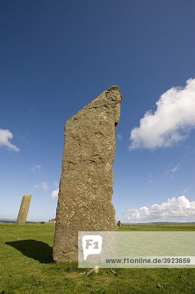 Neolithische Kultstätte  Die stehenden Steine von Stennes  Stromness  Orkney Inseln  Schottland  Großbritannien  Europa
