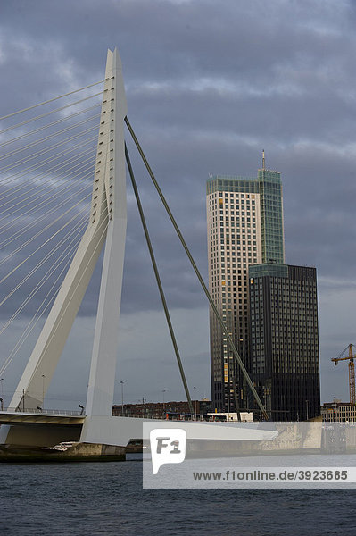 Erasmusbrug  Erasmusbrücke  Rotterdam  Südholland  Holland  Niederlande  Europa
