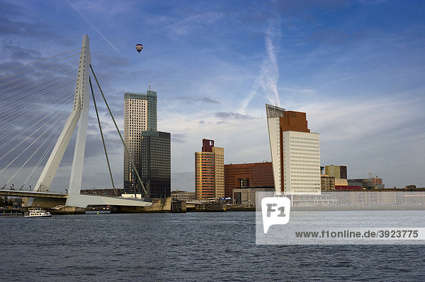 Erasmusbrug bridge and Kop Zuid on the Maas river  Rotterdam  South Holland  Holland  Netherlands  Europe