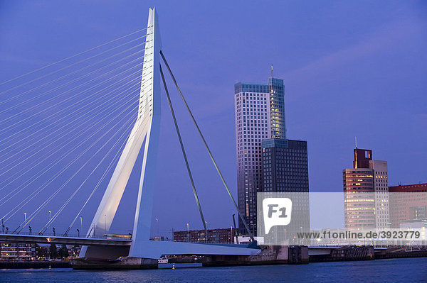 Erasmusbrug bridge and Kop van Zuid district on the Maas River  Rotterdam  South Holland  Holland  Netherlands  Europe