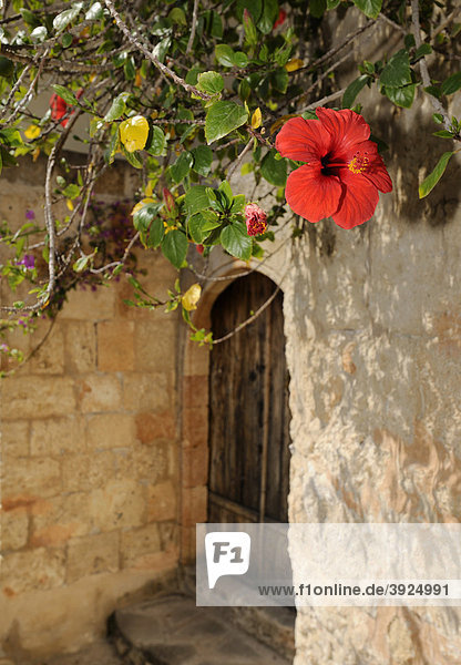 Eingang mit Blumen  Lindos  Rhodos  Griechenland  Europa