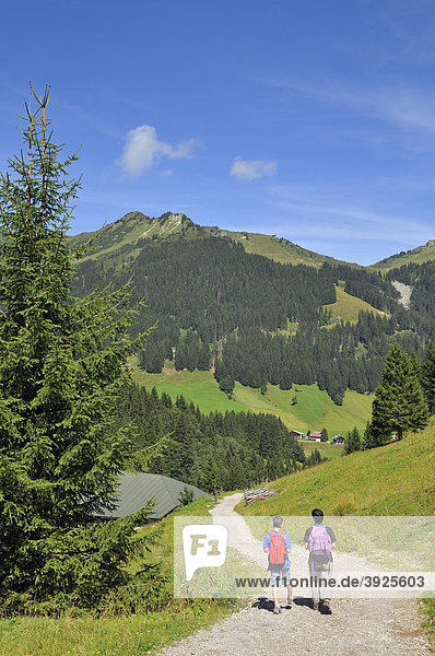Wandern auf dem Panoramaweg im Bärgunttal  Bärgundtal  Kleinwalsertal  Vorarlberg  Allgäuer Alpen  Österreich  Europa