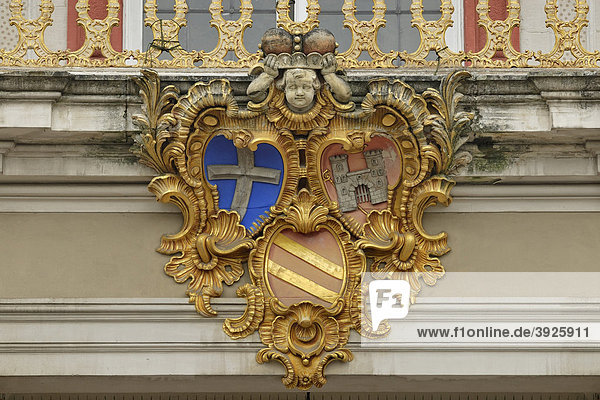 Wappen des Kardinals Christoph von Hutten  Schloss Bruchsal  fürstbischöfliche Residenz  Bruchsal  Baden-Württemberg  Deutschland  Europa