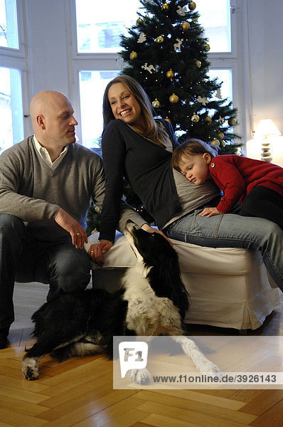 Glückliche Familie mit Tochter  Vater und schwangerer Mutter  Hund  Weihnachtsbaum