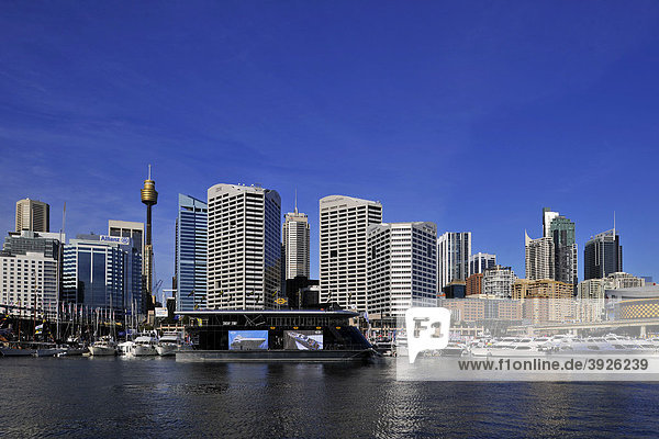 Blick von Darling Harbour auf Sydney TV Tower  Skyline Central Business District  Sydney  New South Wales  Australien