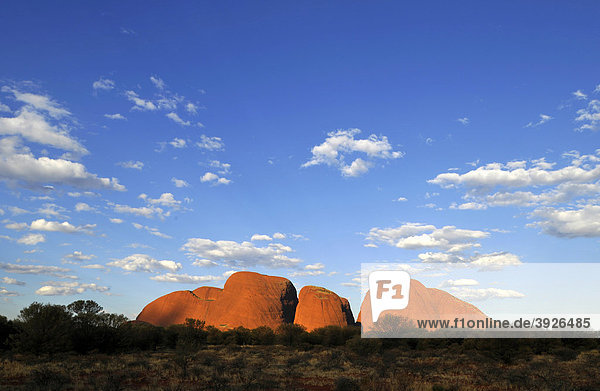 Felsformation Olgas bei Sonnenuntergang  Uluru-Kata Tjuta Nationalpark  Northern Territory  Australien