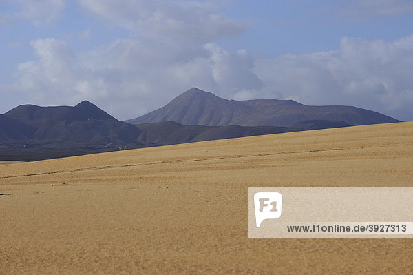 Nationalpark Naturpark Dünen von Corralejo  Fuerteventura  Kanarische Inseln  Spanien  Europa