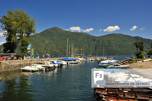 Hafen  Lago Maggiore  Cannobio  Piemont  Italien  Europa