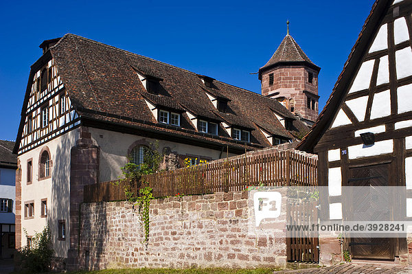 Kloster Hirsau  Klosterhof  Hirsau  Schwarzwald  Baden-Württemberg  Deutschland  Europa