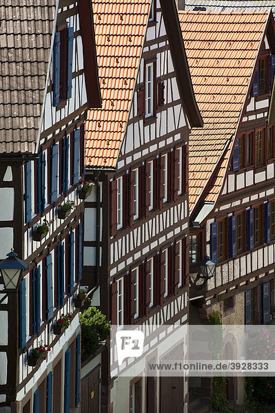 Fachwerkhäuser im Städtle  Schiltach  Schwarzwald  Baden-Württemberg  Deutschland  Europa