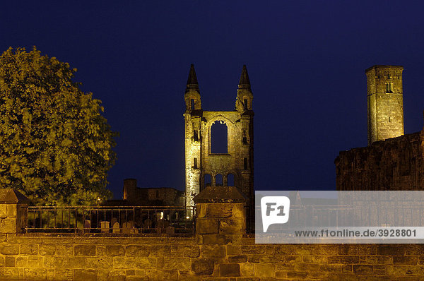Die Ruinen der Kirche St. Rule's und der Kathedrale in der Dämmerung  St. Andrews  Fife Region  Schottland  Vereinigtes Königreich  Europa
