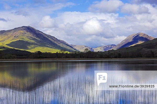 Loch Awe See Argyll and Bute Distrikt Highlands Schottland Vereinigtes Königreich Europa