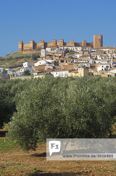 Burg Burgalimar  BaÒos de la Encina  Provinz Jaen  Andalusien  Spanien  Europa
