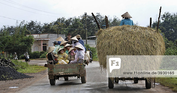 Feldarbeiter auf der Pritsche eines kleinen LKWs heim  der einen Heuwagen überholt  Dliya im Distrikt Dolisa der Provinz Daklak  Vietnam  Südostasien
