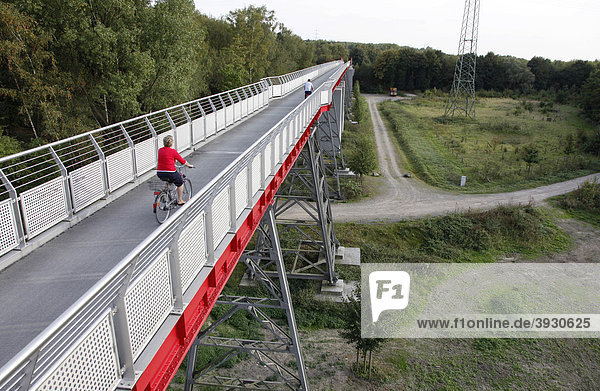 Pfeilerbrücke von 1919  Erzbahntrasse  Gelsenkirchen  Nordrhein-Westfalen  Deutschland  Europa