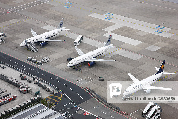 Duesseldorf International Airport  Lufthansa and Bluewings planes parked on the tarmac  Duesseldorf  North Rhine-Westphalia  Germany  Europe