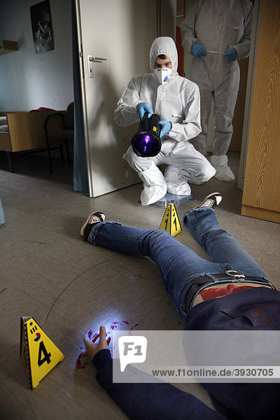 Invisible blood and other traces of bodily fluids are made visible with the help of UV light and a detection fluid  officers of the C.I.D.  the Criminal Investigation Department  gathering forensic evidence at a crime scene  after a capital offence  a homicide  re-enacted scene