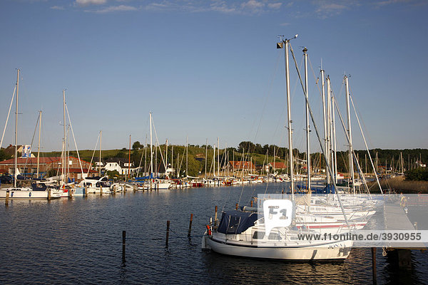 Yachthafen bei Moritzdorf  Insel Rügen  Mecklenburg-Vorpommern  Deutschland  Europa