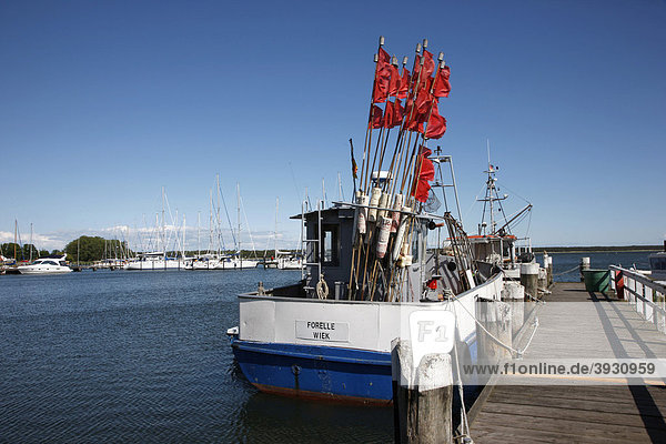 Hafen bei Breege  im Norden der Insel Rügen  Mecklenburg-Vorpommern  Deutschland  Europa