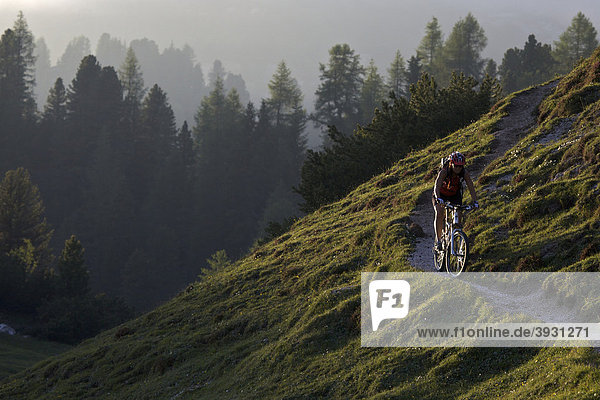 Mountainbike-Fahrerin  Fodara Vedla-Mulde  Naturpark Fanes-Sennes-Prags  Veneto  Südtirol  Italien  Europa