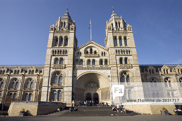 Natural History Museum  London  England  Vereinigtes Königreich  Europa