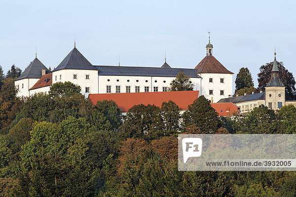 Fürstliches Schloss Wolfegg und Pfarrkirche  Allgäu  Oberschwaben  Baden-Württemberg  Deutschland  Europa