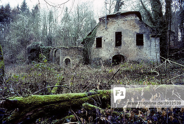Ruinen der stillgelegten Eisenhütte Weilerbach  verfallenes Gebäude im Wald  Bollendorf  Eifel  Rheinland-Pfalz  Deutschland  Europa