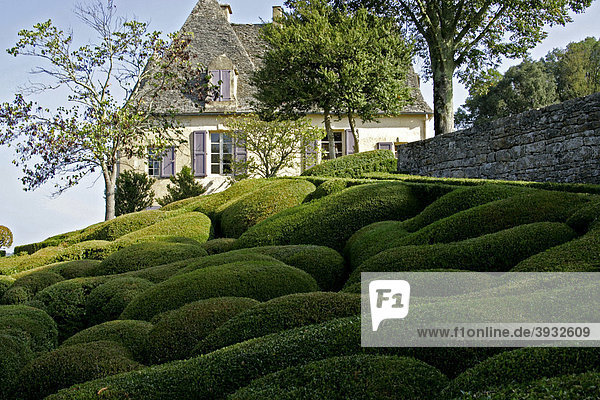 Gärten von Schloss Marqueyssac  Dordogne  Aquitanien  Frankreich  Europa