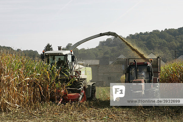 Traktoren  Getreideernte  PyrÈnÈes-Atlantiques  Frankreich  Europa