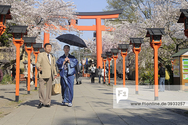 Hirano Shrine  Kyoto  Japan  Asia