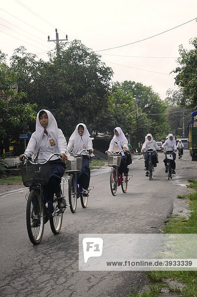 Muslim girls in school uniform riding their bicycles to school  Jogyakarta  Central Java  Indonesia  Southeast Asia  Asia